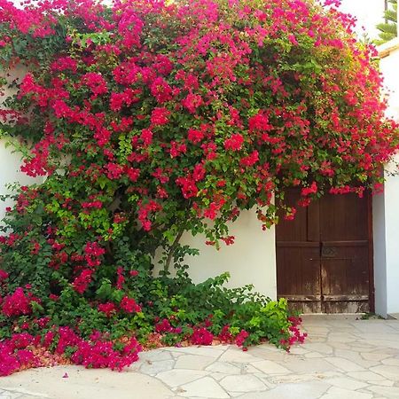 Cyprus Village House Girne Dış mekan fotoğraf