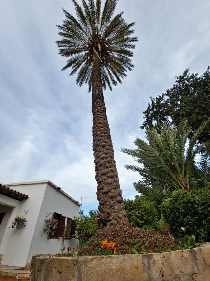 Cyprus Village House Girne Dış mekan fotoğraf